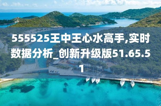 555525王中王心水高手,实地数据验证设计_Lite49.186